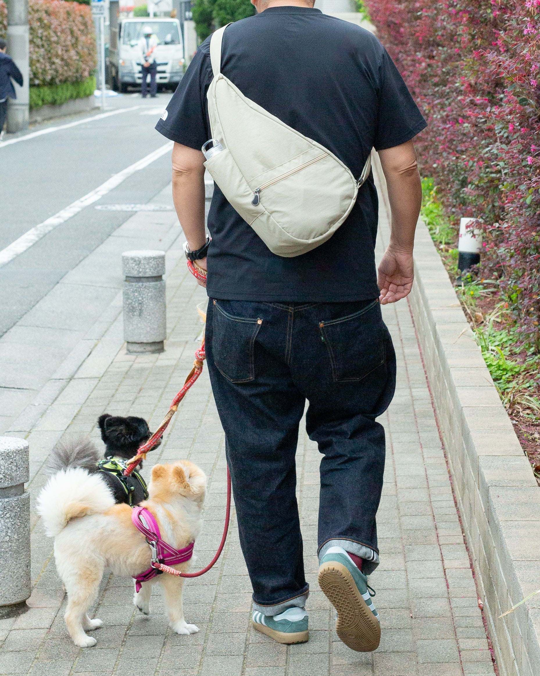 愛犬とのお散歩タイムを快適に！