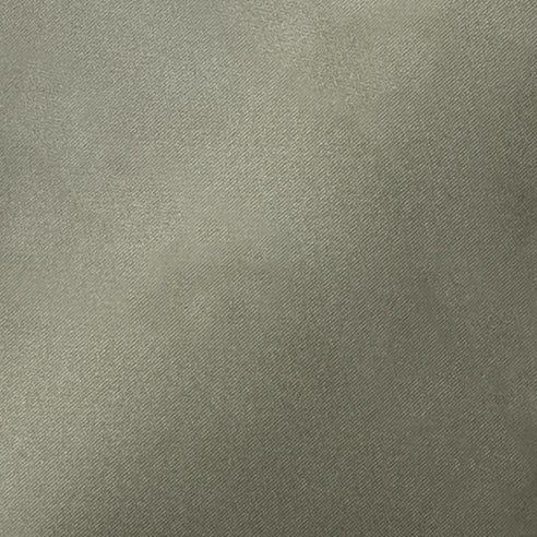ヘルシーバックバッグ 《予約販売／8月25日出荷予定》リサイクルナイロン Sサイズ カクタス 26AW 26AW 26AW NEW 26AW先行販売 26AW先行販売_予約分 ノベルティS以上_26AW先行販売 会員限定カート表示